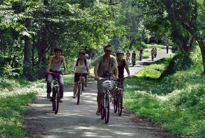 Cycling at Cuc Phuong National Park