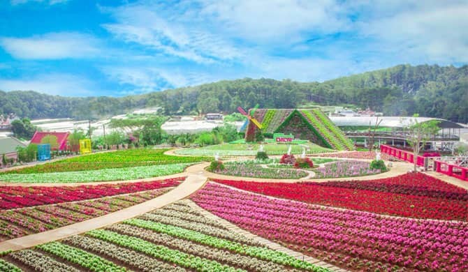 Things to Know When Traveling to Da Lat