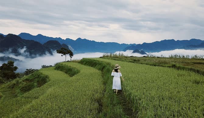 Things to Know When Traveling to Pu Luong