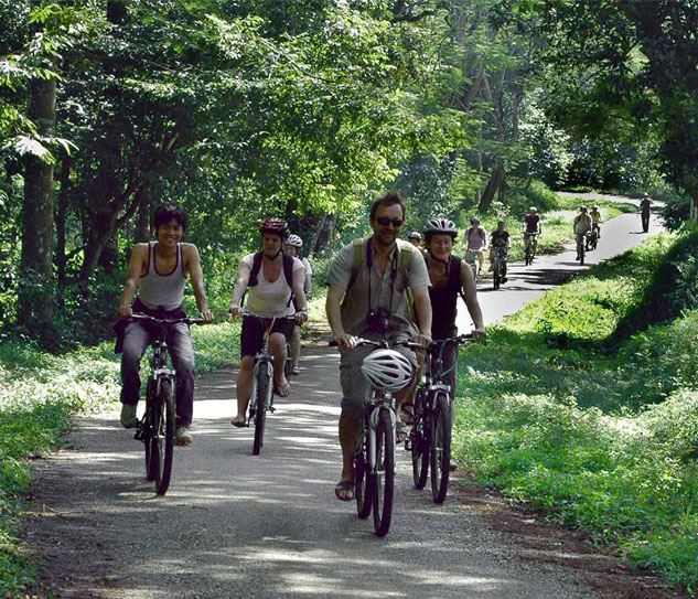 Cuc Phuong National Park