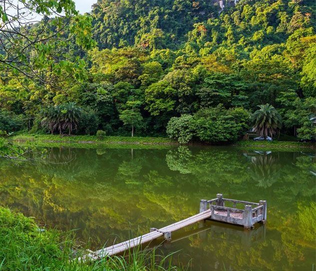 Cuc Phuong National Park