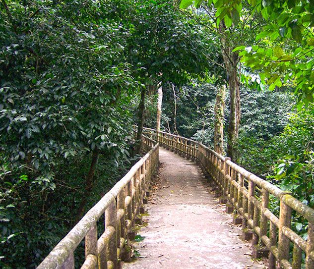 Cuc Phuong National Park