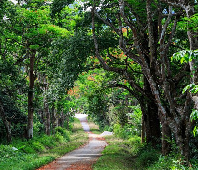 Cuc Phuong National Park