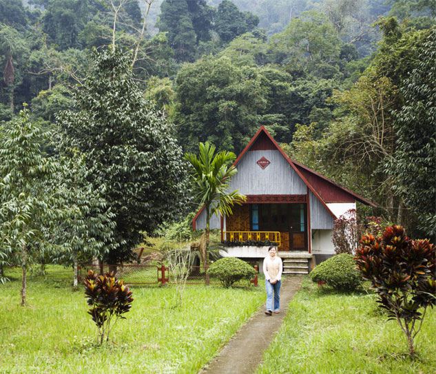 Cuc Phuong National Park