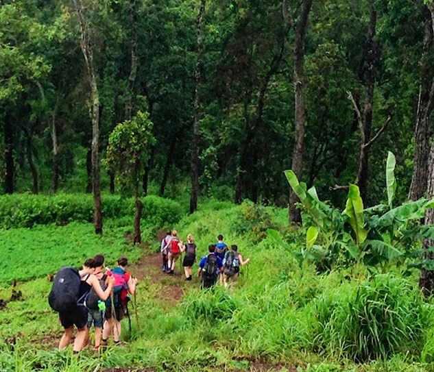 Nam Cat Tien National Park