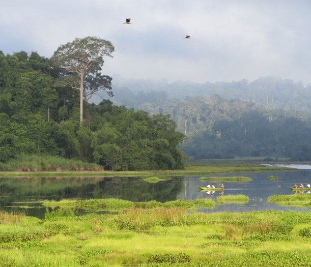Nam Cat Tien National Park