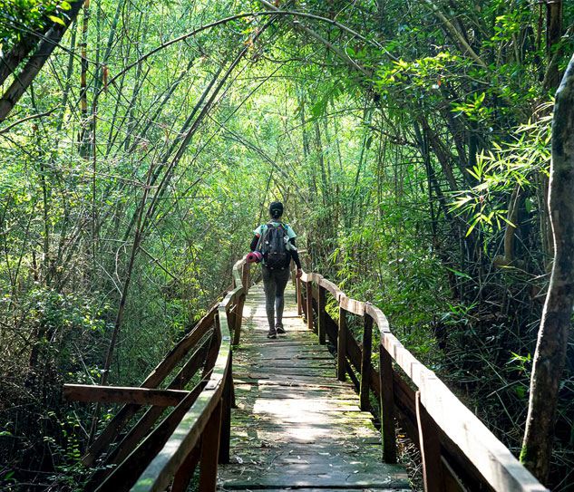 Nam Cat Tien National Park