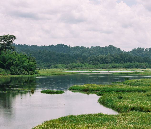 Nam Cat Tien National Park